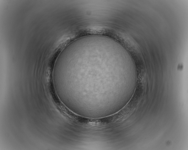 X0000097630744200803142024