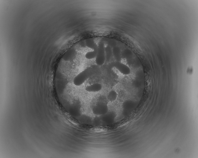 X0000097630745200803142024