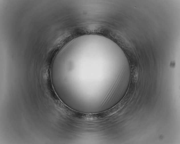 X0000097630746200803142024