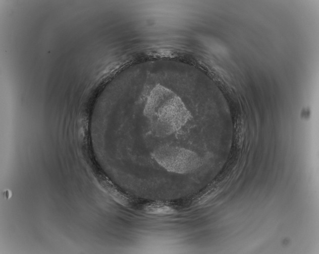 X0000097630747200803142024