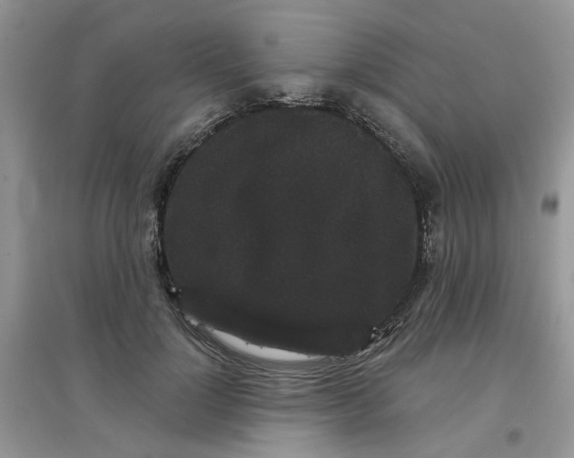 X0000097630748200803142024