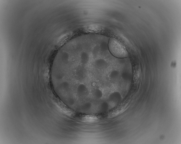 X0000097630749200803142024