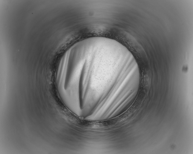 X0000097630750200803142024