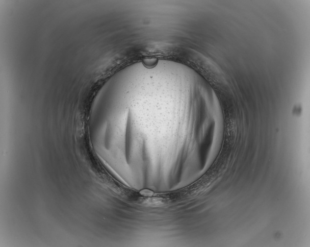 X0000097630751200803142024