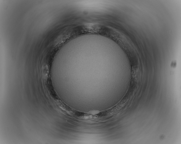 X0000097630752200803142024