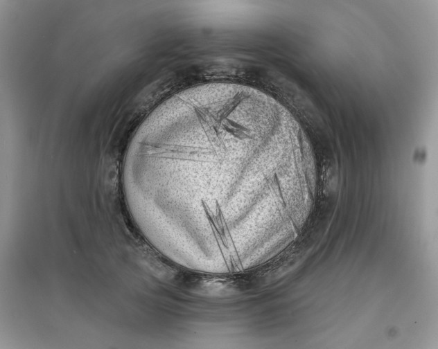 X0000097630753200803142024