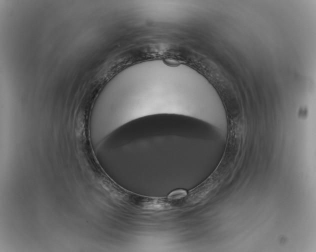 X0000097630754200803142024