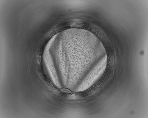 X0000097630755200803142024