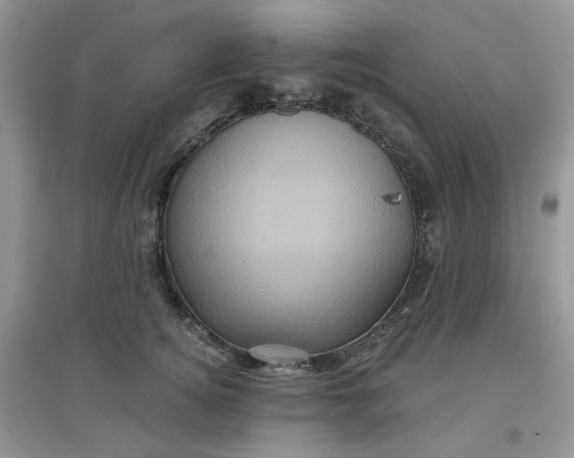 X0000097630756200803142024