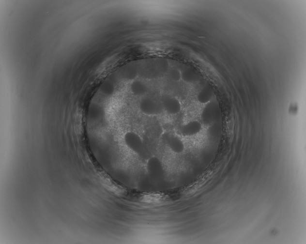 X0000097630757200803142024