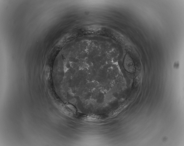 X0000097630758200803142024