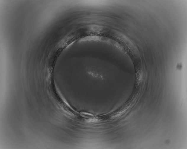 X0000097630759200803142024