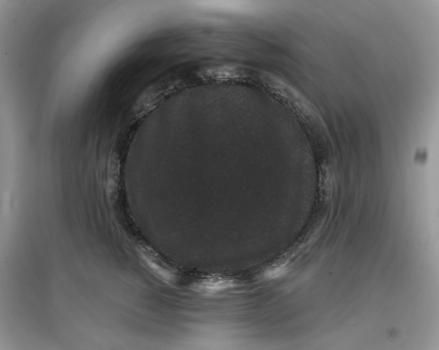 X0000097630760200803142024