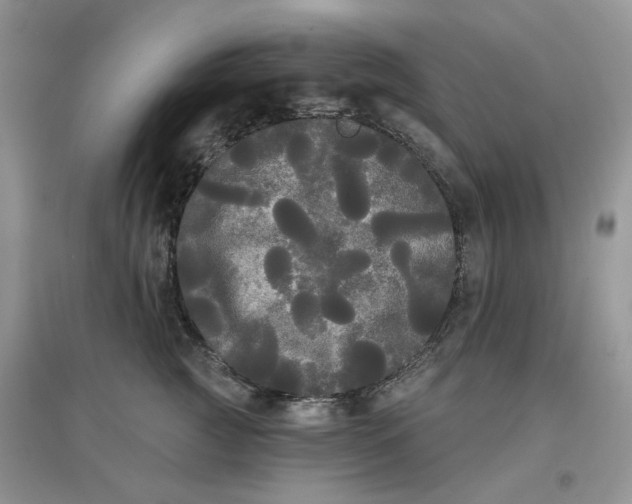 X0000097630761200803142024