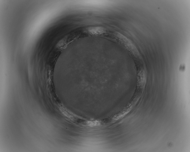 X0000097630762200803142024