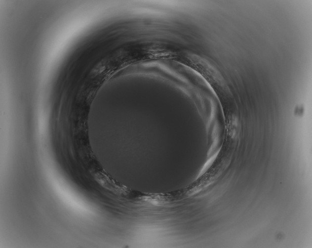 X0000097630763200803142024