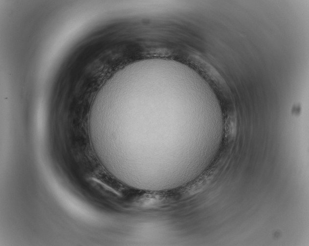 X0000097630764200803142024