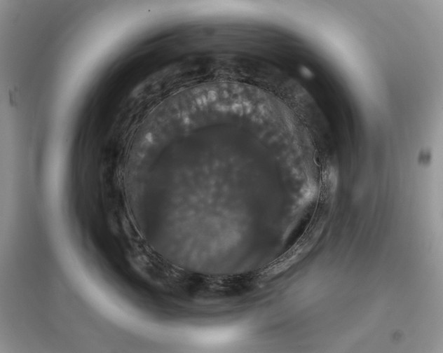 X0000097630765200803142024