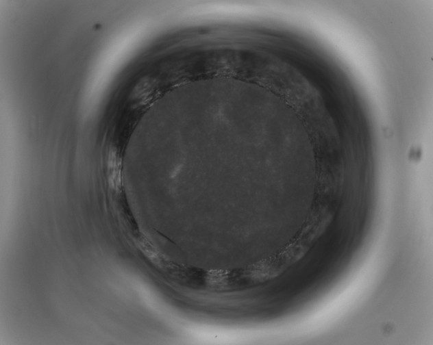 X0000097630766200803142024