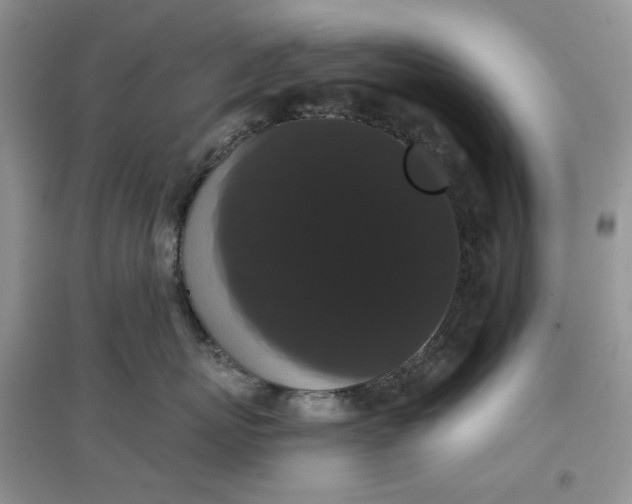 X0000097630767200803142024