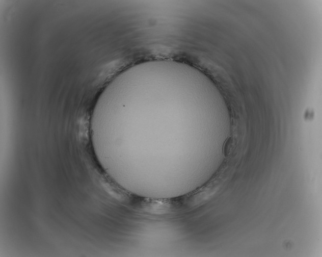 X0000097630768200803142024