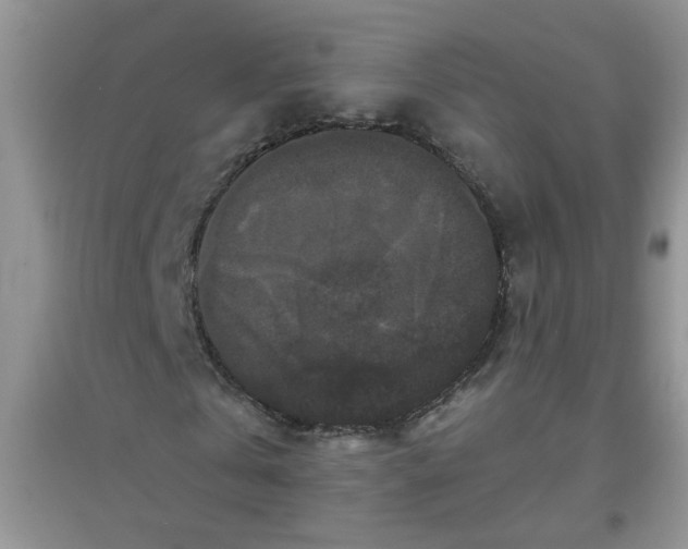 X0000097630769200803142024