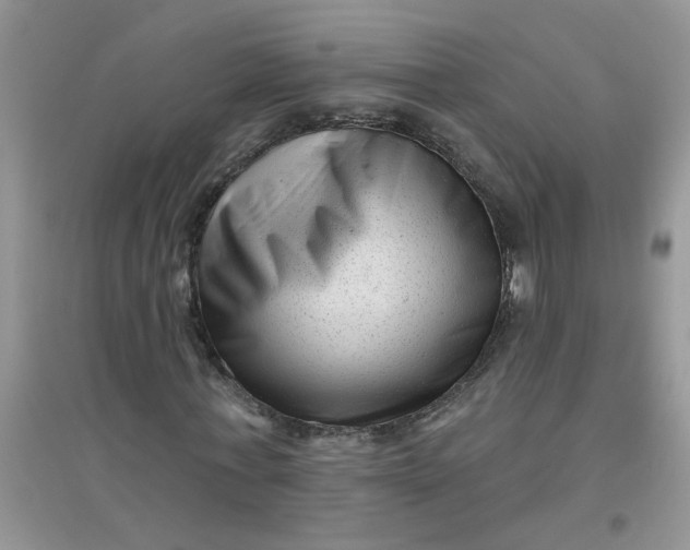 X0000097630771200803142024