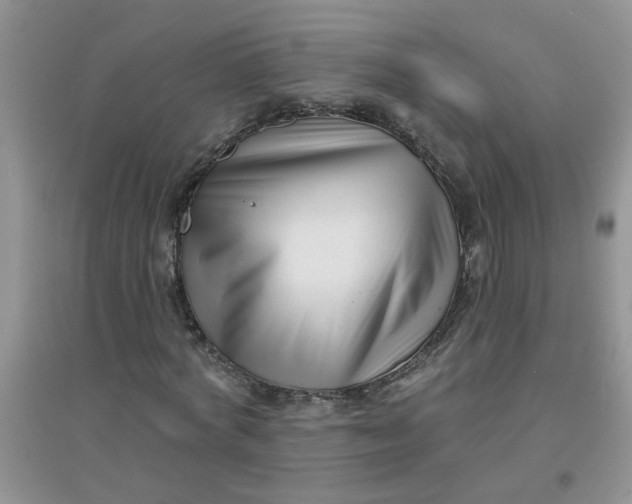 X0000097630772200803142024