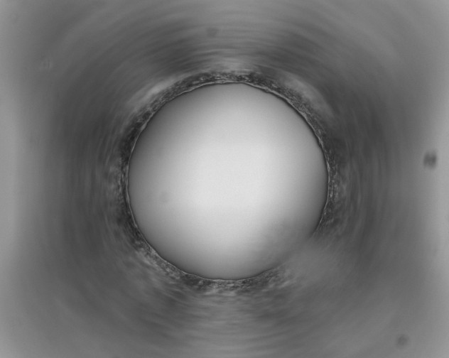 X0000097630773200803142024