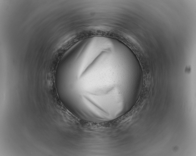 X0000097630774200803142024