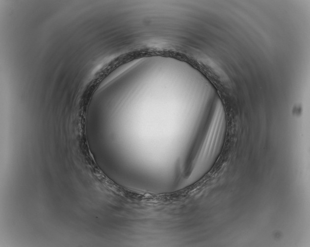 X0000097630776200803142024