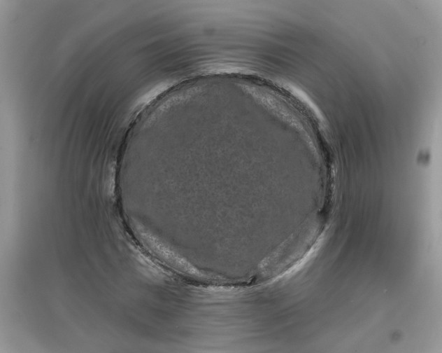 X0000097630777200803142024