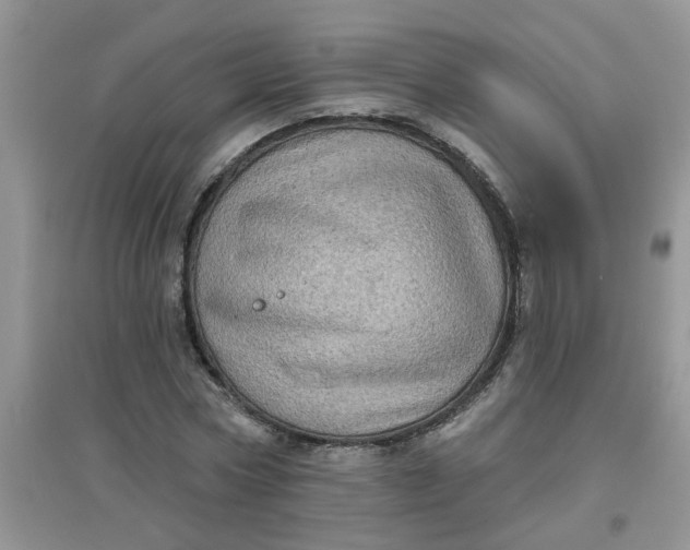 X0000097630778200803142023