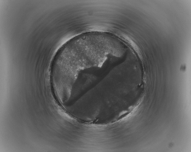 X0000097630779200803142023