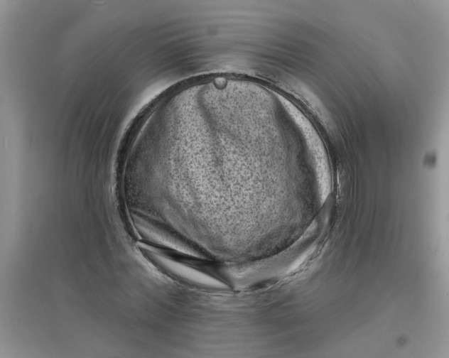 X0000097630780200803142023