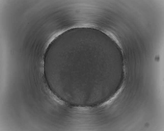 X0000097630781200803142023