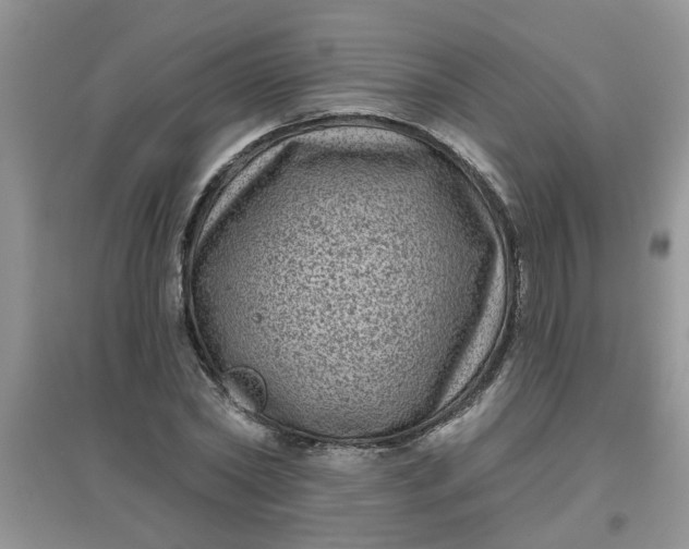 X0000097630782200803142023