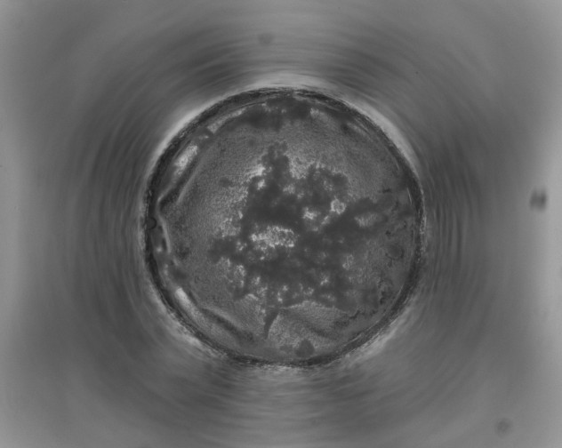 X0000097630783200803142023