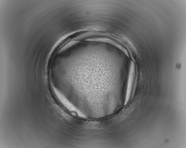 X0000097630784200803142023