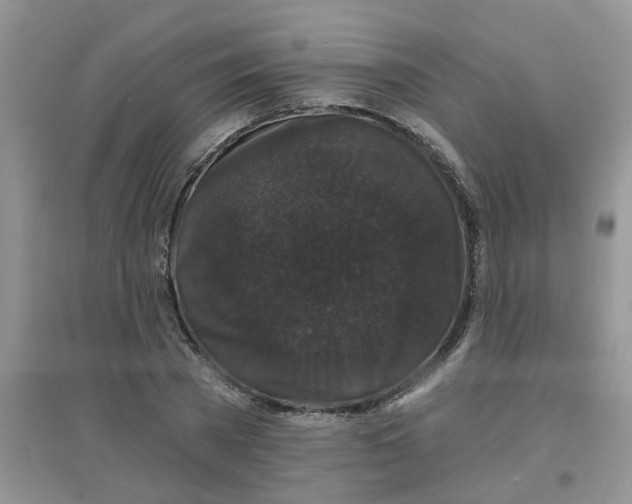 X0000097630785200803142023