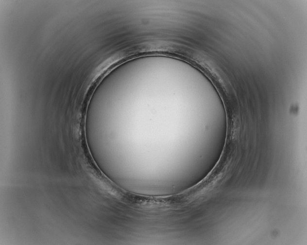 X0000097630786200803142023