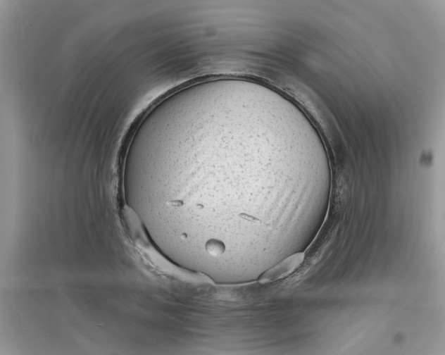 X0000097630787200803142023