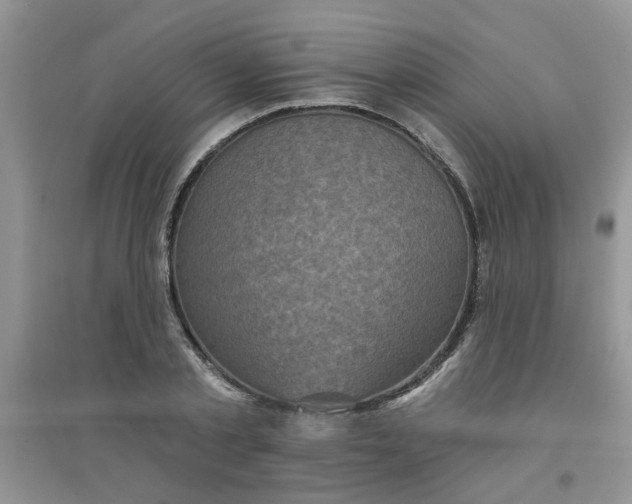 X0000097630789200803142023