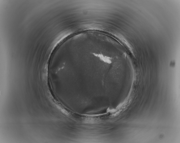 X0000097630790200803142023