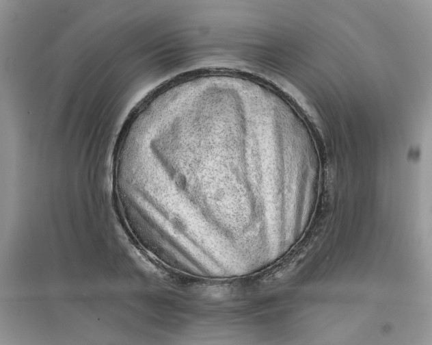 X0000097630791200803142023