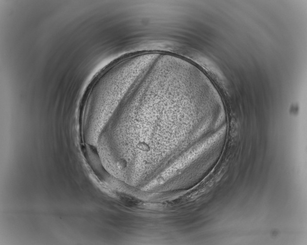 X0000097630792200803142023