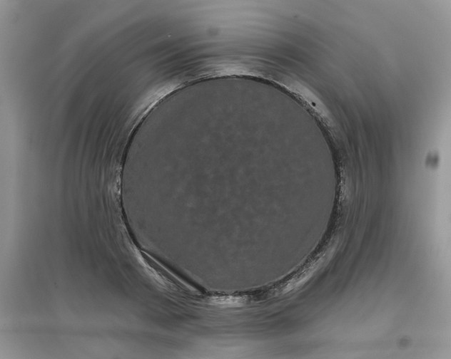 X0000097630793200803142023