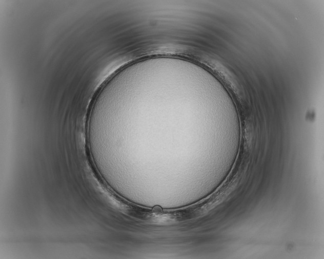 X0000097630794200803142023