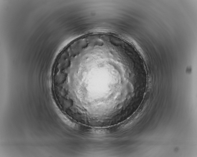 X0000097630795200803142023