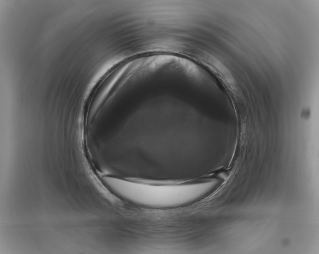 X0000097630796200803142023